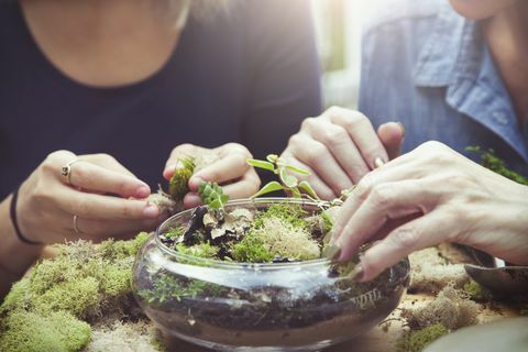 Matka i córka aranżuje terrarium