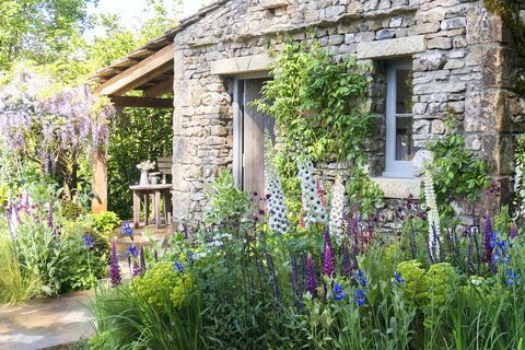 Mark Gregory Witamy w Chelsea Flower Show w Yorkshire 2018