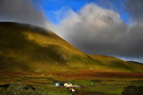 foula wyspa szetlandy szkocja